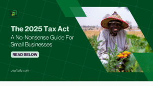 2025 Nigeria Tax Act for small businesses explained